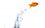 Begin your journey with Mind Training Systems